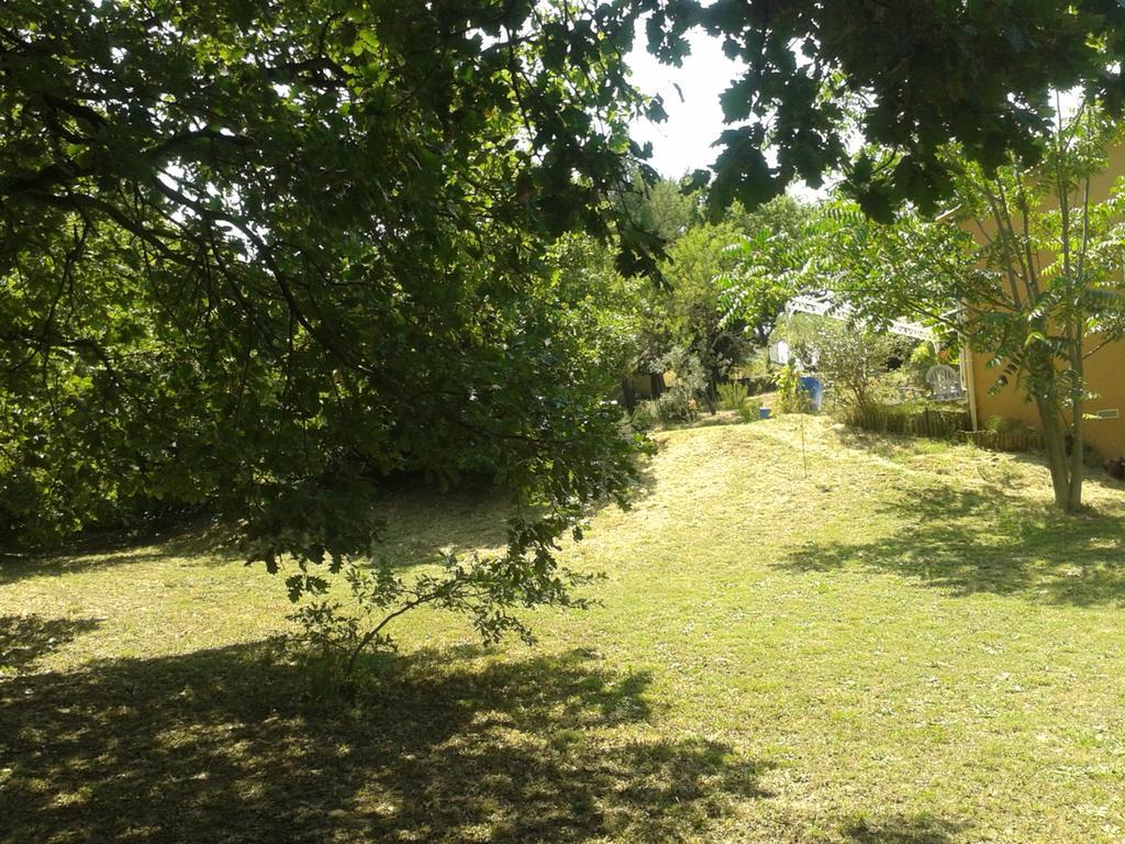 Вілла Entre Nimes Et Arles Bellegarde  Екстер'єр фото